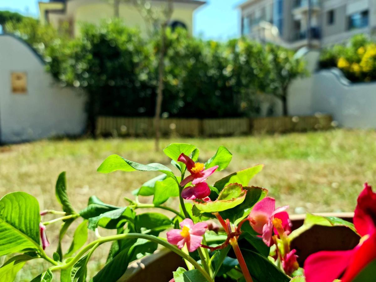 Villa Versilia Lido di Camaiore Exterior photo