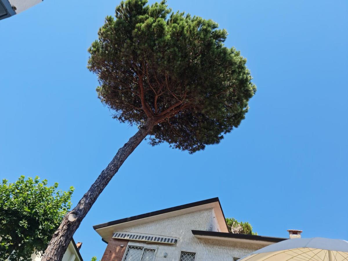 Villa Versilia Lido di Camaiore Exterior photo